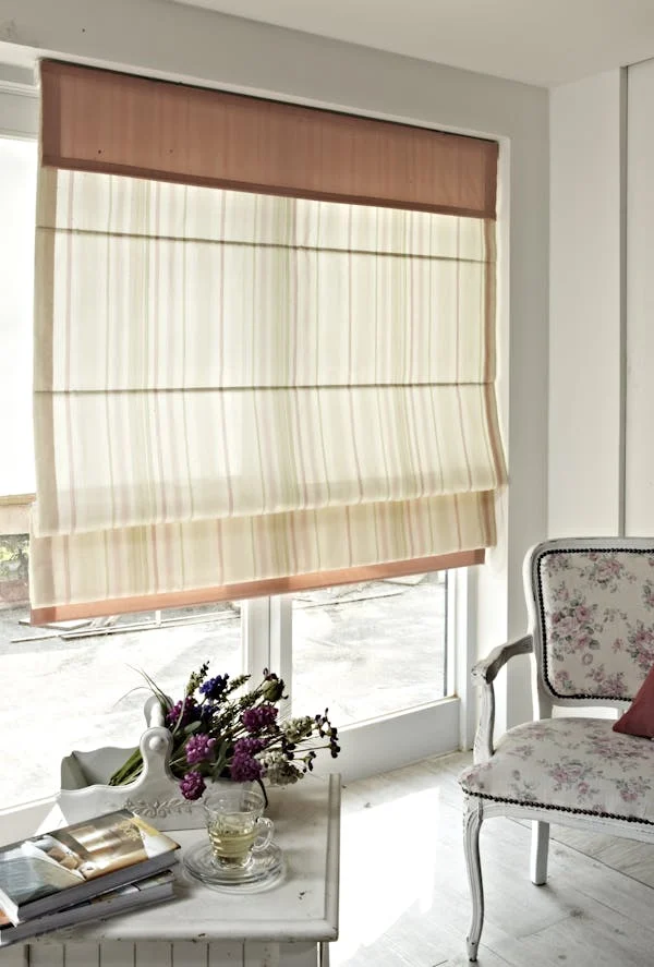 Pleated Blinds 