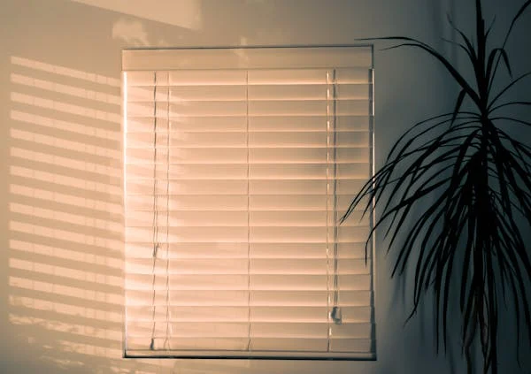 Blinds