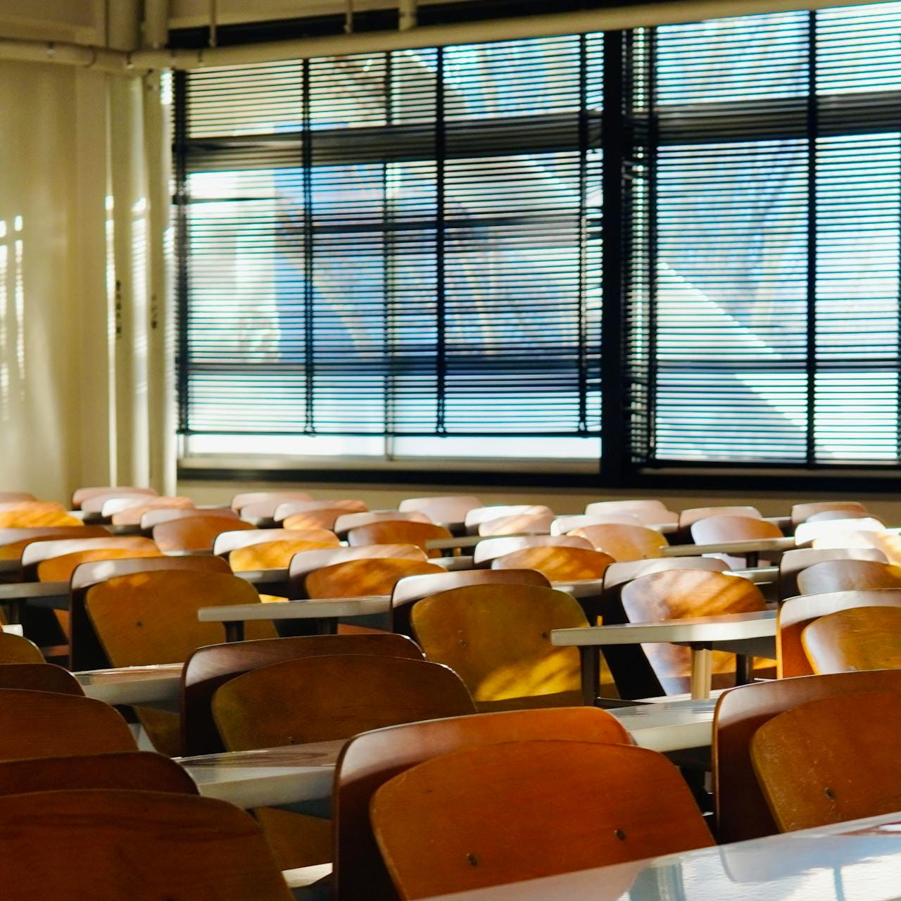 School Blinds